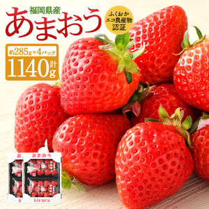 あまおう 約1140g 約285g×4パック いちごファームきらら【ふくおかエコ農産物認証】【2027年2月上旬-3月下旬発送予定】
