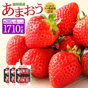 あまおう約1710g 約285g×6パック いちごファームきらら【ふくおかエコ農産物認証】【2027年2月上旬-3月下旬発送予定】