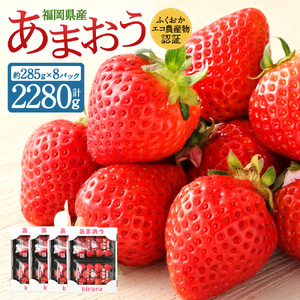 あまおう 約2280g 約285g×8パック いちごファームきらら【ふくおかエコ農産物認証】【2027年2月上旬-3月下旬発送予定】