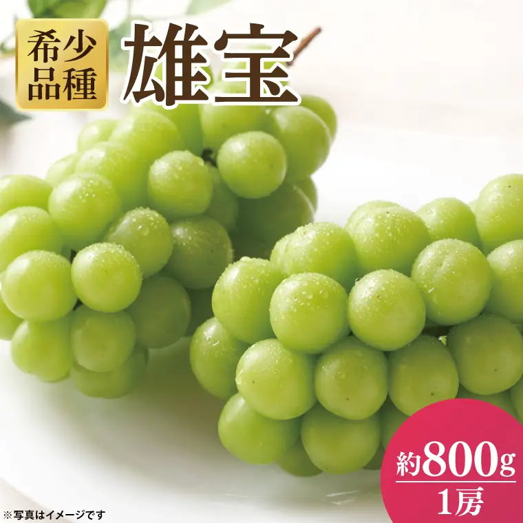 49-04 【先行予約】【2025年10月以降発送】雄宝（ゆうほう）皮ごと食べられる大粒ぶどう（約900g）【シャインマスカット マスカット ぶどう ブドウ 葡萄 1房 フルーツ 雄宝 希少品種】