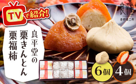 【スピード配送】【カーボンオフセット対象】栗きんとん6個と栗福柿4個セット / 恵那市 / 良平堂 [AUDB002]