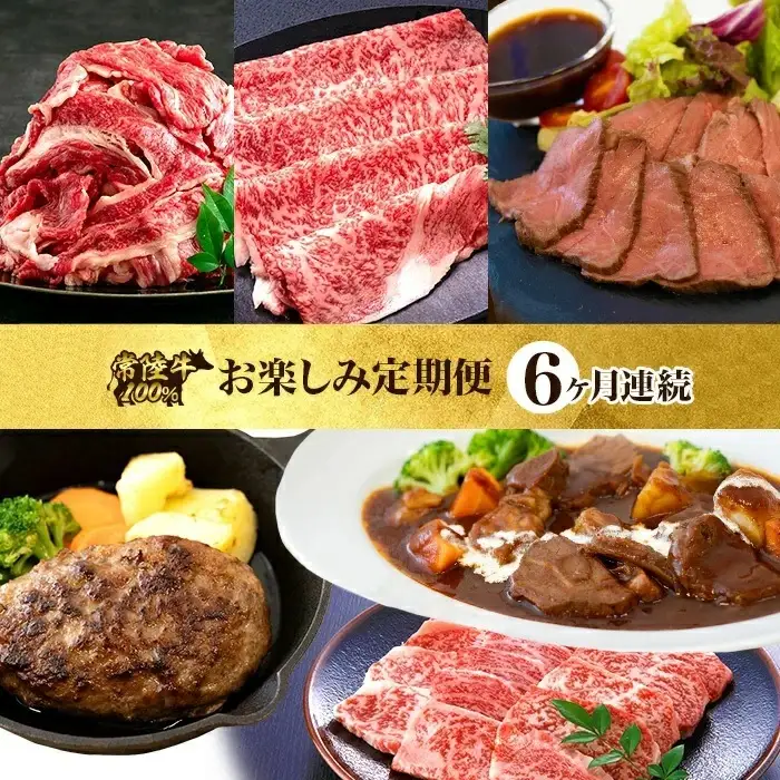 【定期便】【全6回】常陸牛お楽しみ定期便（6ヶ月連続でお届け） 528