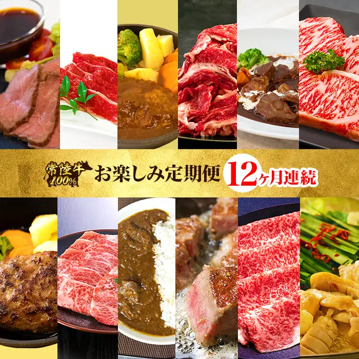 【定期便】【全12回】常陸牛お楽しみ定期便（12ヶ月連続でお届け） 529