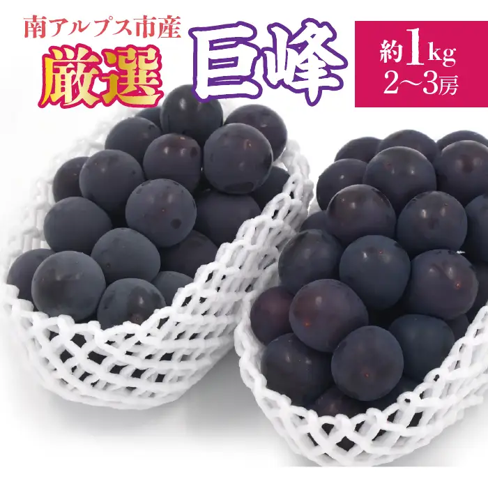 【2026年発送先行予約】厳選！南アルプス市産　巨峰　約1.0kg（2～3房） ALPDD016