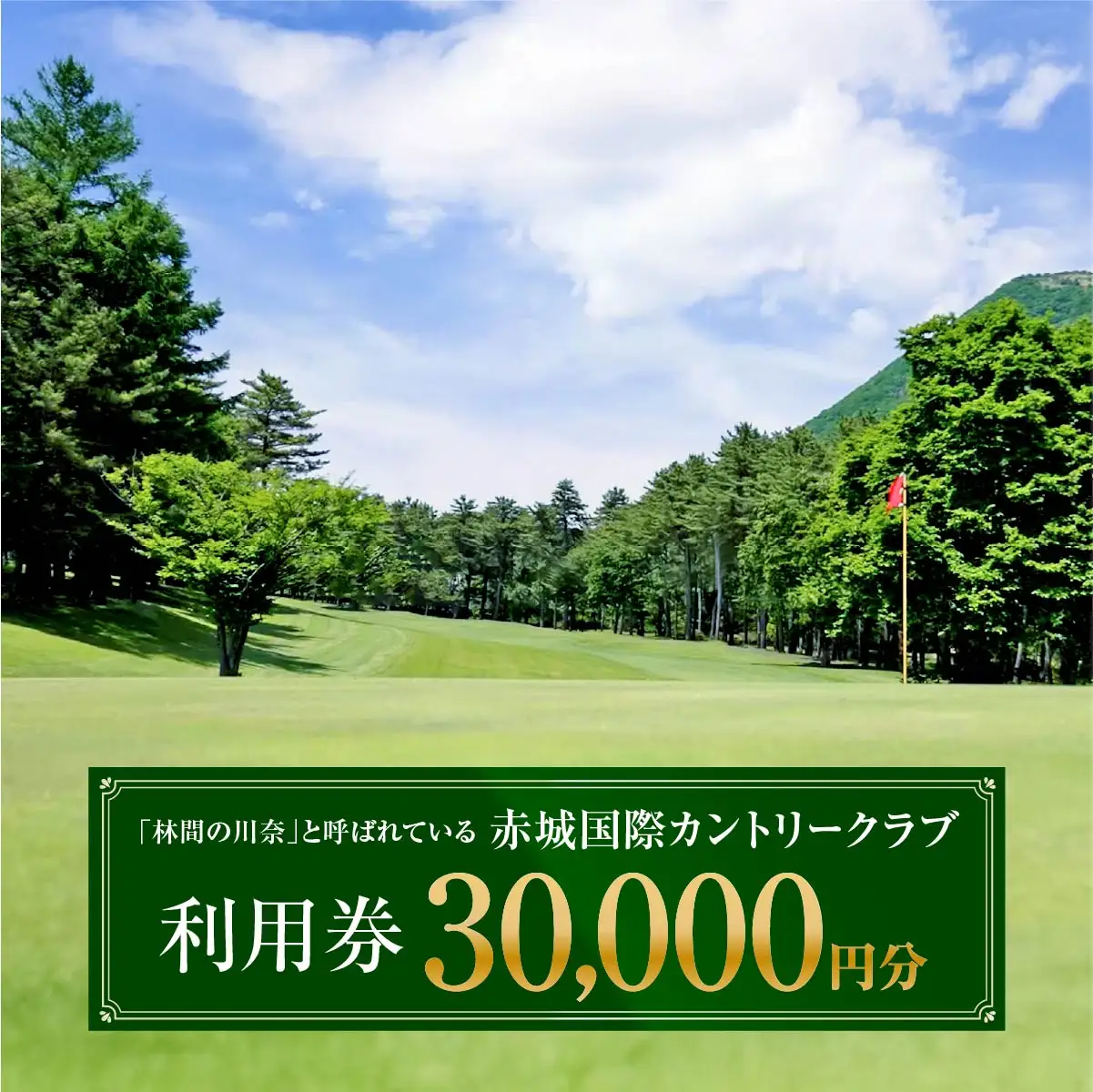 ゴルフ 赤城国際カントリークラブ ゴルフ場利用券 3万円分