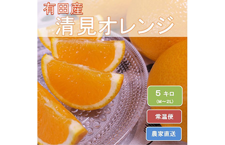 和歌山県有田産 完熟清見オレンジ 5kg（M～2Lサイズおまかせ）ひとつひとつ丁寧に厳選！生産者から直送