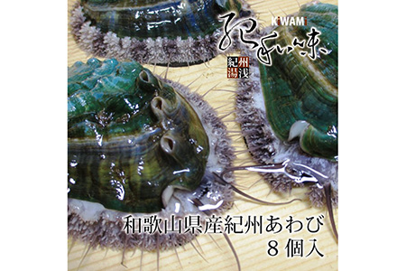 やわコリ食感紀州活アワビ 【8個入】｜ 海産物 海鮮 魚介類 鮑 おかず あわび 高級食材 養殖 国産 産地直送 鮮貝 美浜町