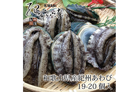 やわコリ食感紀州活アワビ 【19-20個入】｜海産物 海鮮 魚介類 鮑 おかず あわび 高級食材 養殖 国産 産地直送 鮮貝 美浜町