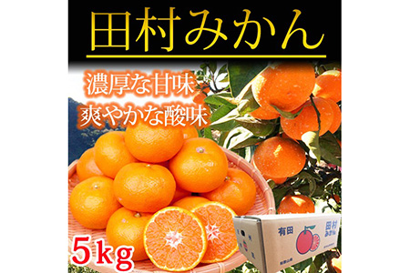 【先行予約】高級ブランド田村みかん ５kg◇ ｜みかん ミカン 蜜柑 フルーツ みかん ふるーつ みかん 果物 みかん くだもの みかん 和歌山 みかん｜ 蜜柑 柑橘 果物 フルーツ 糖度 甘い 濃厚 コク ジューシー 先行予約 国産 産地直送 人気 美浜町