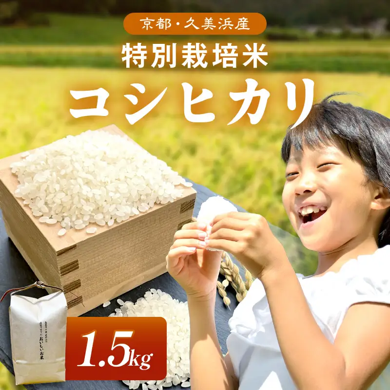 【令和7年】特別栽培米コシヒカリ 1.5kg コシヒカリ 京丹後市