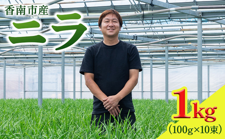 【生産量日本一】高知県香南市産 ニラ 1kg（100g×10束）【にら 韮 生 野菜 やさい ニラ 香味野菜 特産品 ニラ 産地直送 ニラ】 kk-0001