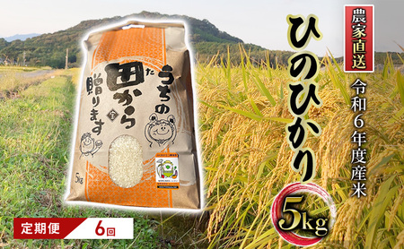 ひのひかり 米 令和6年産 筑後小郡産 農家直送 ひのひかり【5kg】【定期便6ヶ月6回】