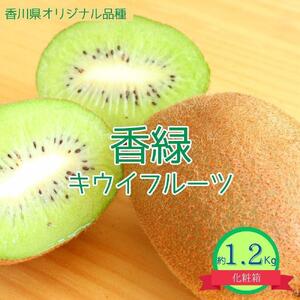 ＜先行受付　2026年発送＞香緑　キウイフルーツ　約1.2kg（化粧箱）