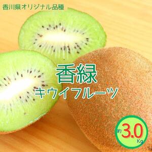 ＜先行受付　2026年発送＞香緑　キウイフルーツ 約3.0kg