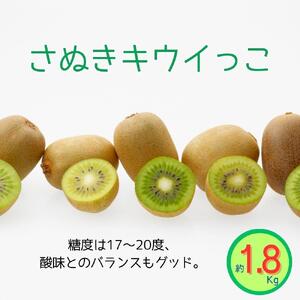 ＜先行受付　2026年発送＞さぬきキウイっこ　キウイフルーツ　約1.8kg