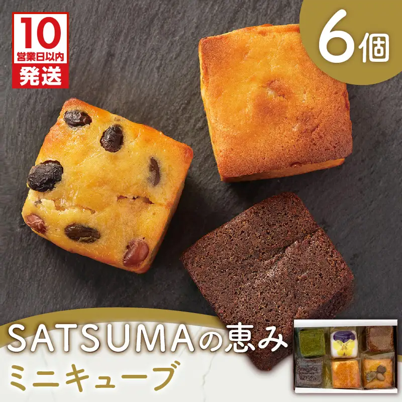 【 10営業日以内に発送 】 SATSUMAの恵み（ ミニキューブ ） 6個入り K325-001 冷凍 スピード配送 最短 すぐ届く お急ぎ