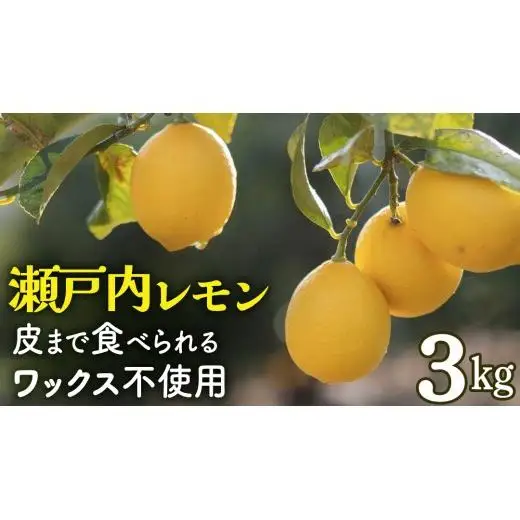【先行予約】 もぎたてフレッシュ！ せとうちレモン 約3kg (約 20～30個程度) 2027年1月～2月発送 ワックス防腐剤不使用 皮まで丸ごと食べられる