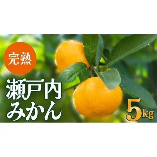 【先行予約】瀬戸内産 島の 完熟 みかん 詰め合わせ 5kg ( 45～55個程度 ) 【12月中旬～1月発送】