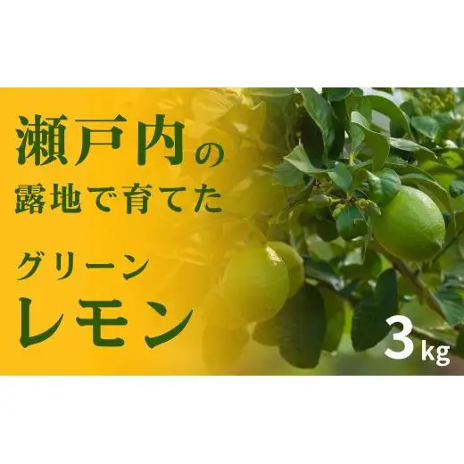 【 先行予約 】 瀬戸内の露地 グリーンレモン 約3kg 【 2026年10月末～11月下旬発送 】 皮まで丸ごと食べられる