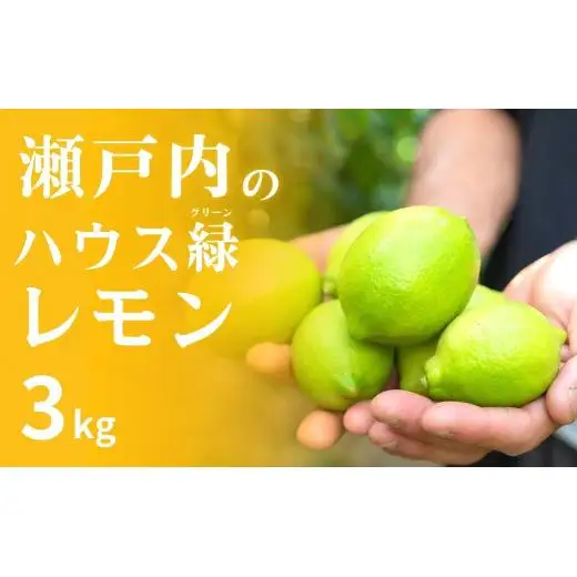 瀬戸内の ハウスグリーン レモン 約3kg【2026年8月以降発送】