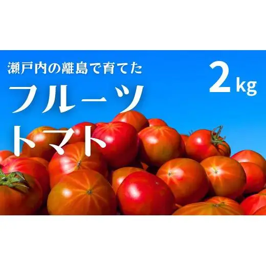 【先行予約】 【甘みがジュワ～っ！】瀬戸内のフルーツトマト 2kg 糖度8度以上 【 2027年4月中旬発送開始 】 大崎上島 越田農園