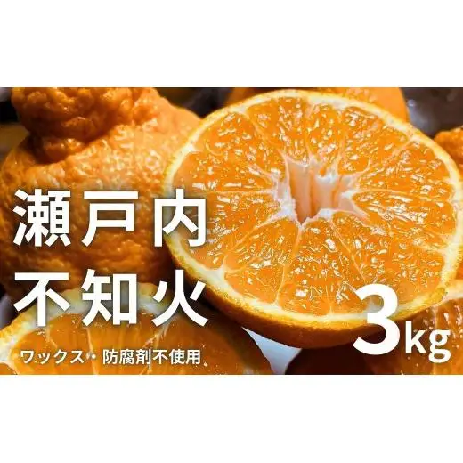 瀬戸内の不知火 3kg(10～12個程度) 【2027/2月～4月発送 先行予約 】 ワックス 防腐剤不使用