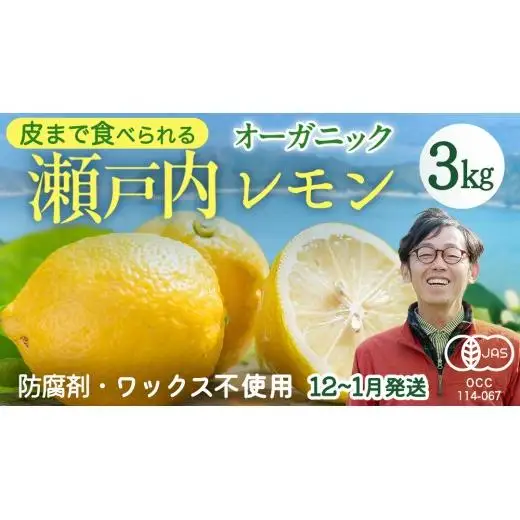 【 先行予約 】 瀬戸内 オーガニック レモン 3kg (24～30個程度)  2026年12月～1月発送
