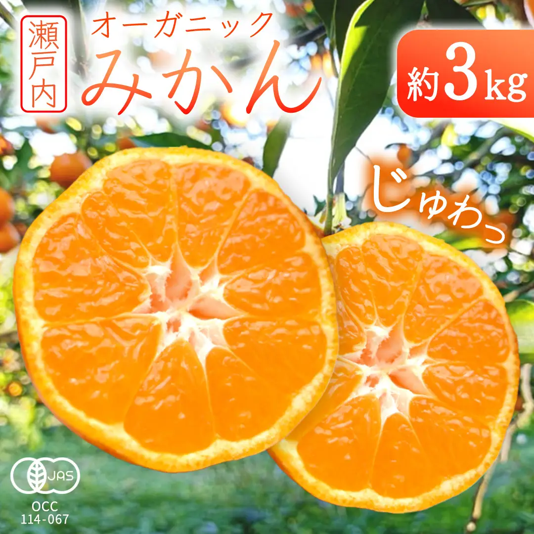 オーガニック 瀬戸内みかん 3kg (30~40個程度)  【2026年10月中旬～1月発送】
