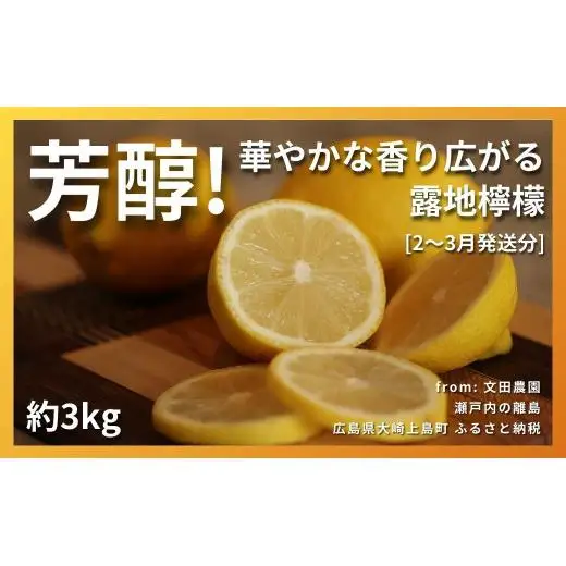 芳醇! 文田農園のレモン 約3kg 【2027年 2～3月発送】