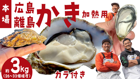 殻付き生牡蠣 冷蔵 約3kg ( 加熱用 ) 26～33個程度 【1月中旬～3月発送】 瀬戸内の離島から届く牡蠣  