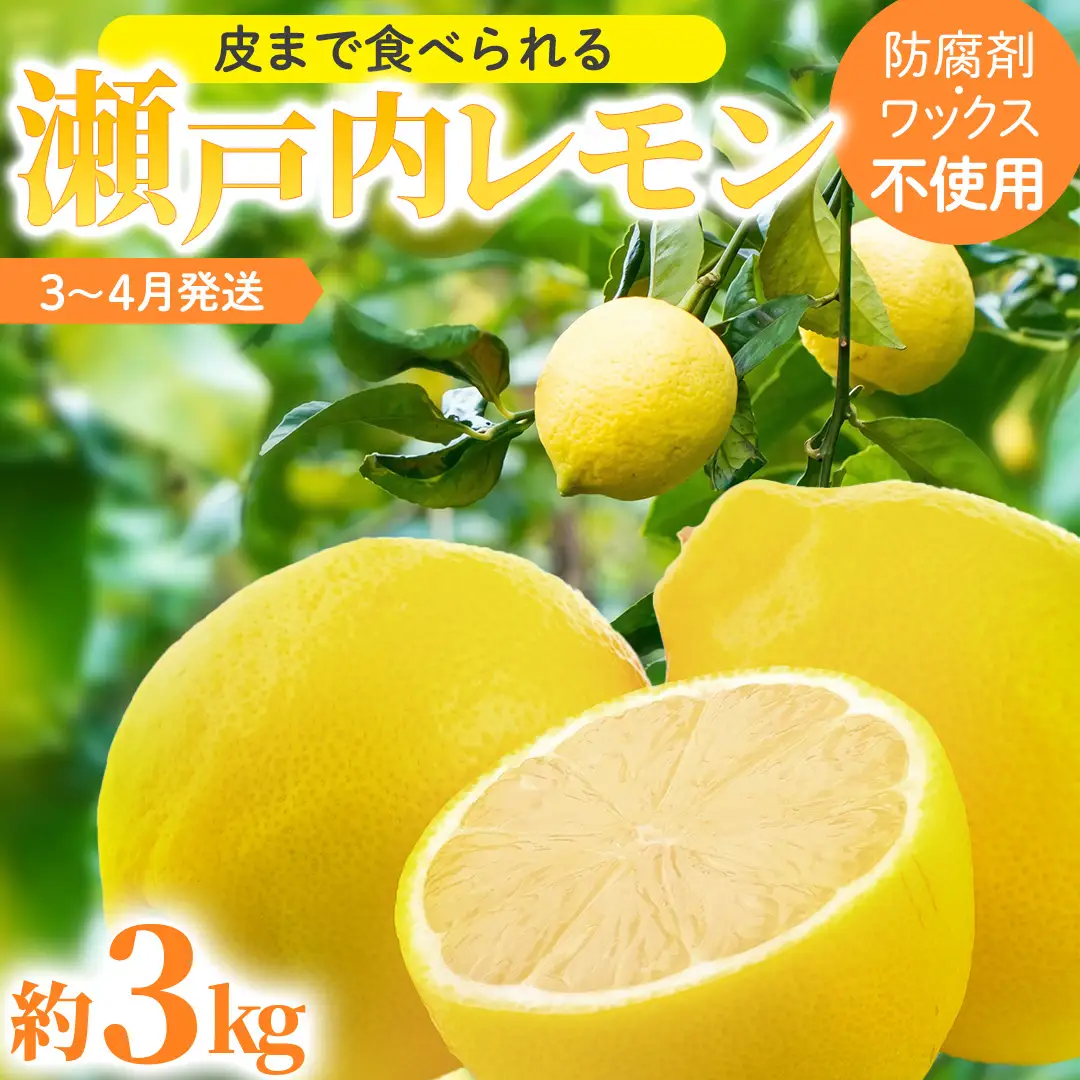 瀬戸内レモン 約3kg (30個程度) 防腐剤・ワックス不使用 皮まで食べられる 【 2027年3月～4月発送 】  西田農園