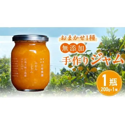岩﨑農園 無添加 手作り ジャム 200g 1本