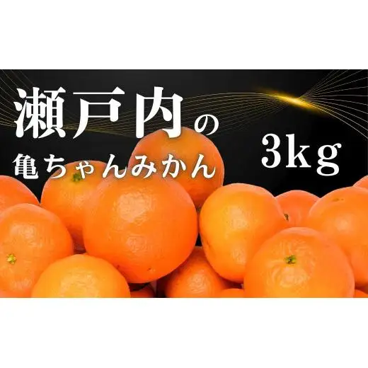 温州みかん 皮が薄い 甘み凝縮 約3kg 約30～35個 [先行予約 2026年11月中旬～発送] 瀬戸内 亀ちゃんみかん S～M玉 広島県 大崎上島町 国産 濃厚 果物 フルーツ ギフト 家庭用 送料無料 産地直送 亀田農園