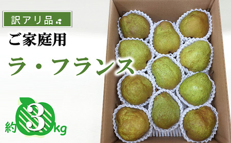 【令和8年産先行予約】 〈訳あり品 家庭用〉 ラ・フランス 約3kg (9～13玉) 《令和8年11月中旬～発送》 『カネタ高橋青果』 ラフランス 果物 フルーツ 山形県 南陽市 [2274]
