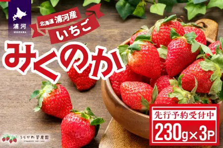 【先行受付開始！】北海道浦河産いちご「みくのか」230g×3P[13-1430]