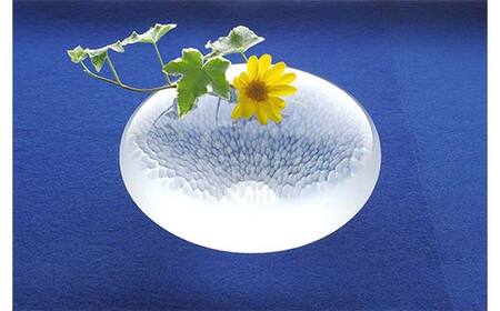 【ギフト用】一輪挿し「Water Egg」＜ガラス作家 池本美和＞ F6L-473
