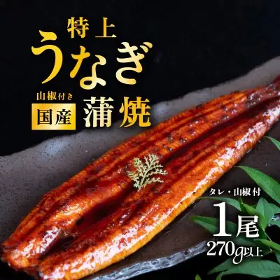 うなぎ 国産 蒲焼き 1尾 270g 特上ウナギ 9月発送