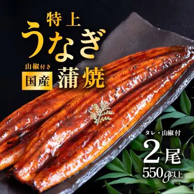 うなぎ 国産 蒲焼き 2尾 550g 特上ウナギ 7月発送 