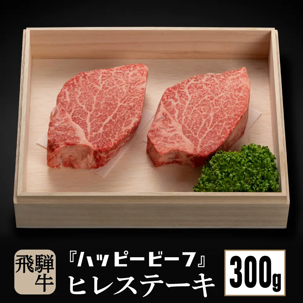 飛騨牛 ステーキ 赤身ヒレ 300g ステーキ JQ024-CP01 FN-Limited-PR