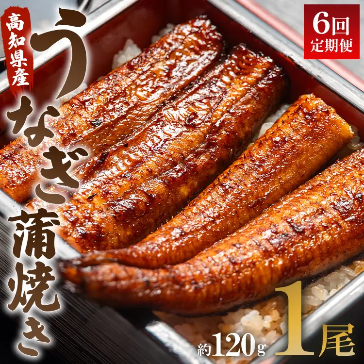 【定期便】うなぎ蒲焼き | うなぎ 定期便 国産 うなぎ 定期便 うなぎ 定期便 Wun-0066