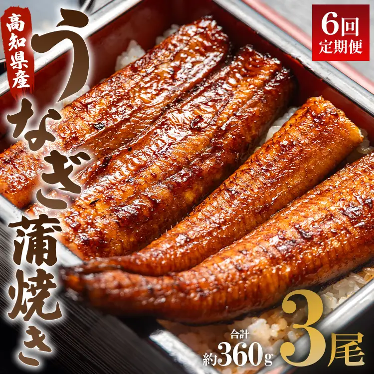 うなぎ蒲焼き 120g 3尾 定期便 6回 うなぎ Wun-0076