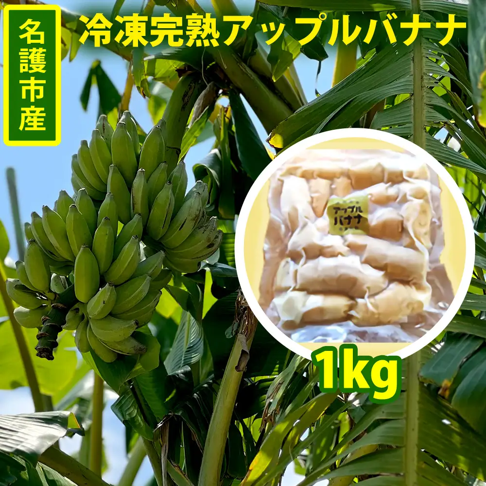 名護市産　冷凍完熟アップルバナナ1kg 名護市 なご ばなな 冷凍 食物繊維 手軽 アイス デザート アレンジ 真空パック 食べやすい おやつ 新鮮 完熟 一口サイズ 甘味 栄養満点 ヨーグルト スムージー パンケーキ