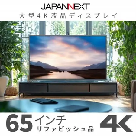 大型4K液晶モニター  65インチ　4K(3840×2160)リファビッシュ品_家電製品 パソコン・周辺機器  _【配送不可地域：離島】【1570158】