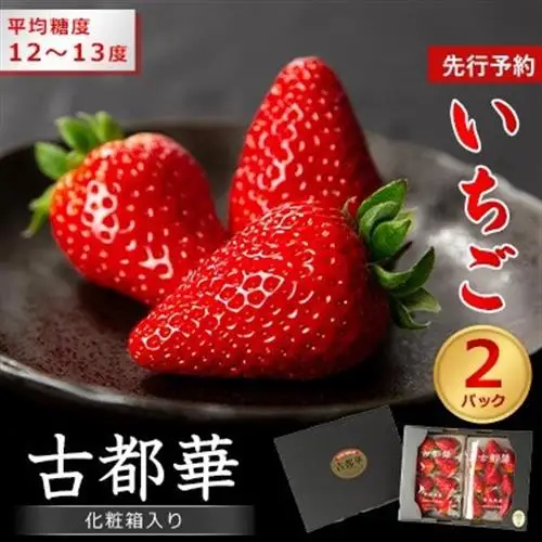 先行予約　奈良県産いちご　古都華　化粧箱入り2パック_果物・フルーツ いちご  イチゴ 苺_【配送不可地域：離島・北海道・沖縄県】【1253928】
