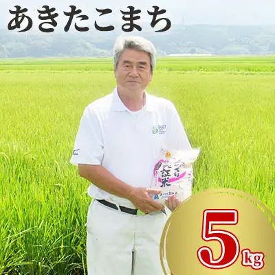 あきたこまち 5kg 白米 令和7年産 あきたこまち 白米