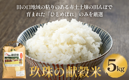 玖珠の献穀米５kg 米 ひとめぼれ 大分県 玖珠町 こめ お米 白米 お米 お米 お米
