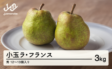 《先行予約》山形県産 小玉ラ・フランス 秀 3kg (12~13個入り)  2026年産 ラフランス 洋梨 ※沖縄・離島への配送不可 nf-lasyk3