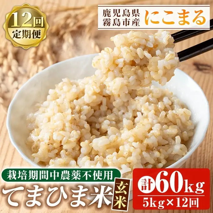 K-391-G 【12回定期便】令和7年産 てまひま米・玄米(品種:にこまる)(計60kg：5kg×12回)【末蜜農園】霧島市 お米 玄米 米 こめ コメ ご飯 ごはん 定期便 栽培期間中農薬不使用 
