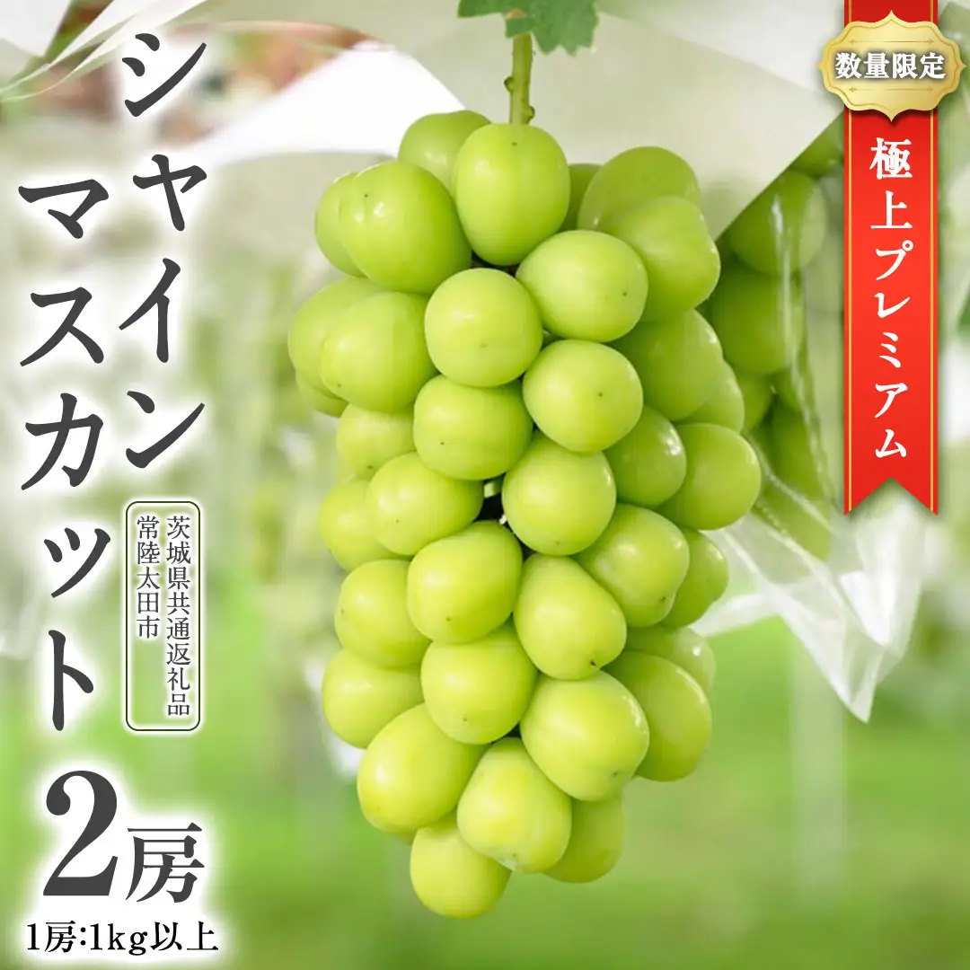 極上 プレミアム シャインマスカット ２房 ( １房 1kg 以上) 数量限定 【茨城県共通返礼品／常陸太田市】 先行予約 マスカット 特大 贈答用 ギフト プレゼント フルーツ くだもの 果物 果実 ぶどう ブドウ 葡萄 茨城県 [DU023sa]