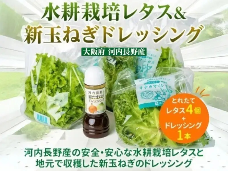 とれたてレタスと玉ねぎドレッシングセット